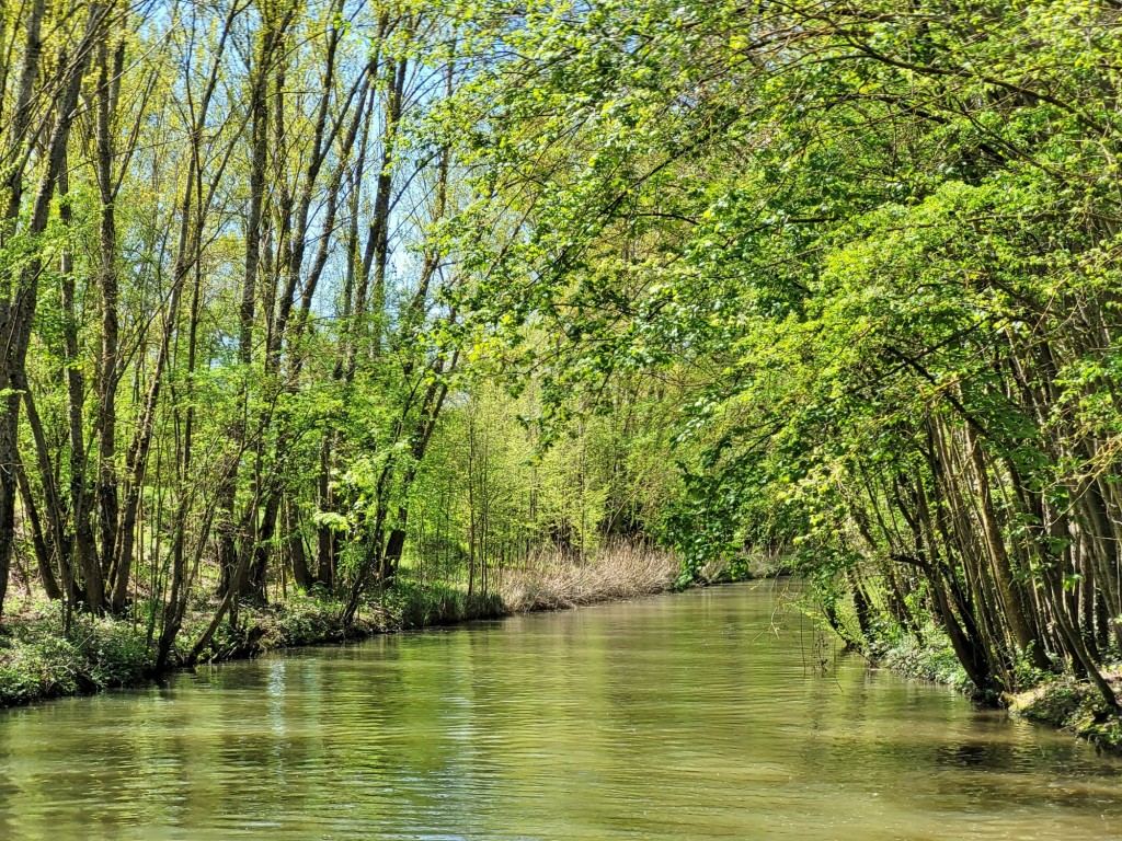 Foto: Canal de Castilla - Herrera de Pisuerga (Palencia), España