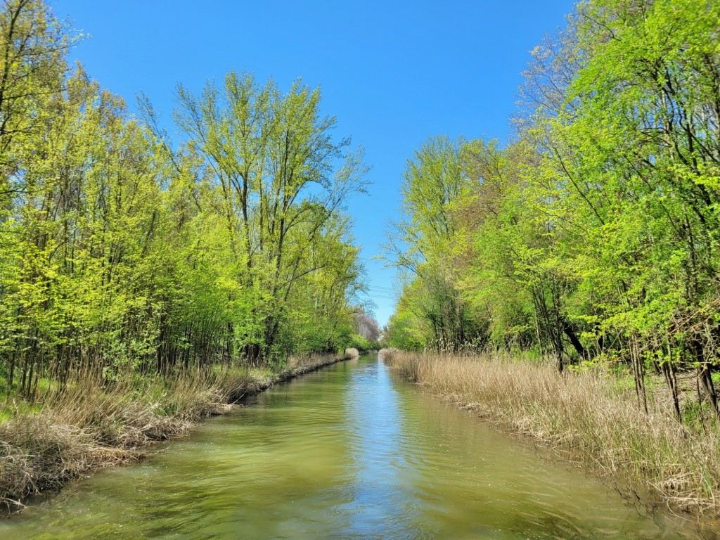 Foto: Canal de Castilla - Herrera de Pisuerga (Palencia), España