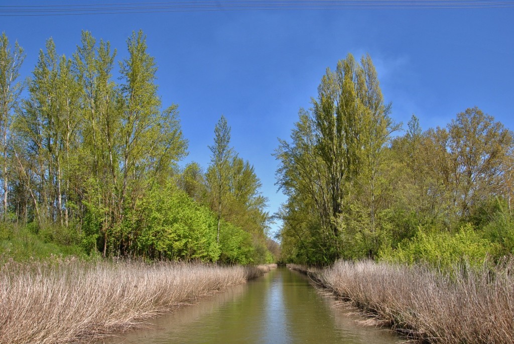 Foto: Canal de Castilla - Herrera de Pisuerga (Palencia), España