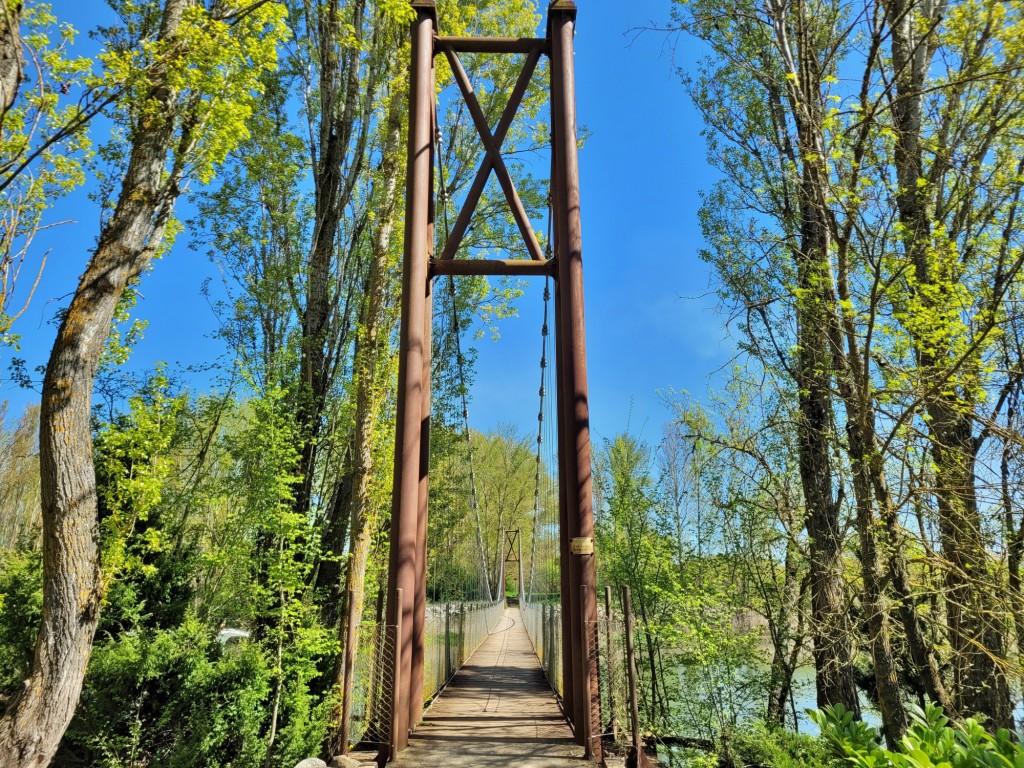 Foto: Canal de Castilla - Herrera de Pisuerga (Palencia), España