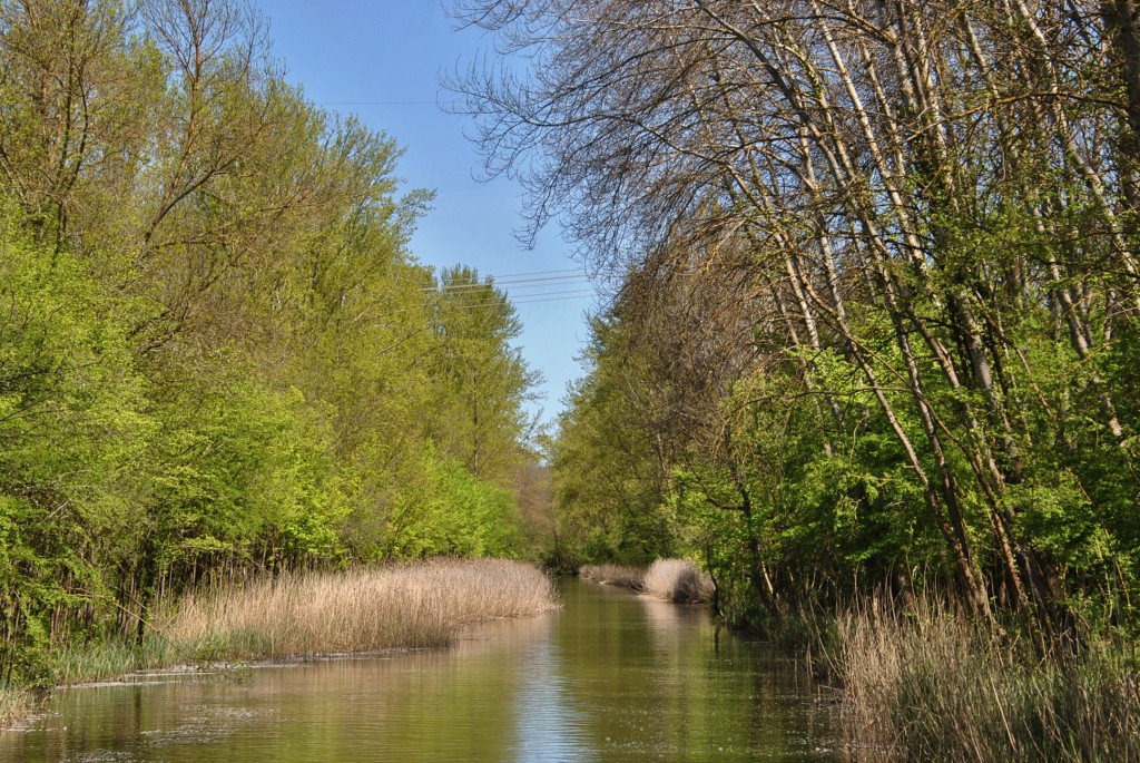 Foto: Canal de Castilla - Herrera de Pisuerga (Palencia), España