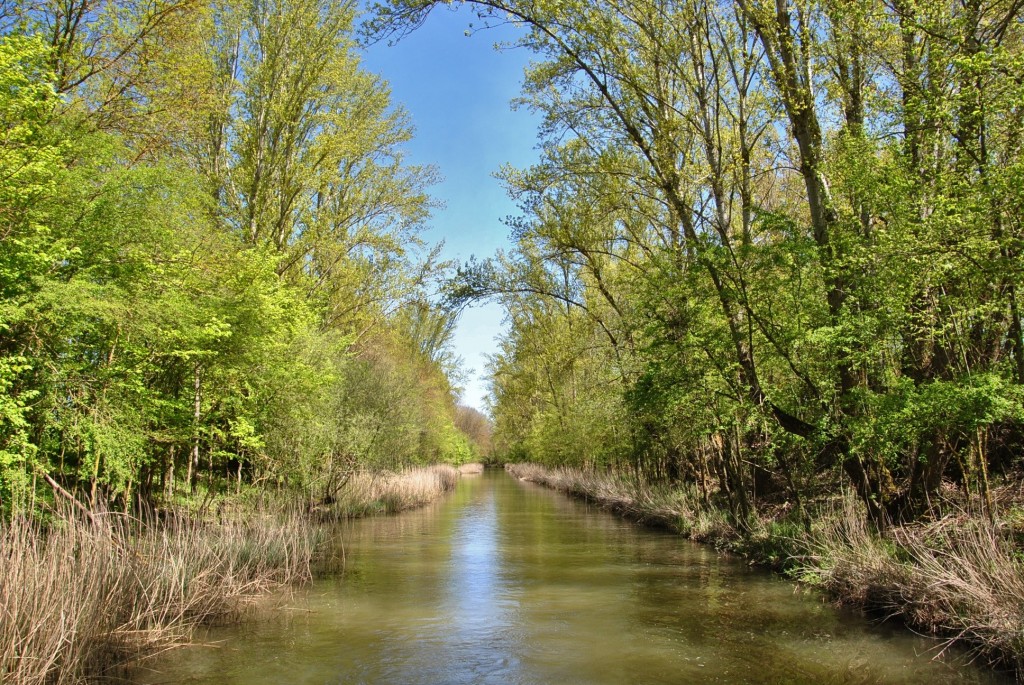 Foto: Canal de Castilla - Herrera de Pisuerga (Palencia), España