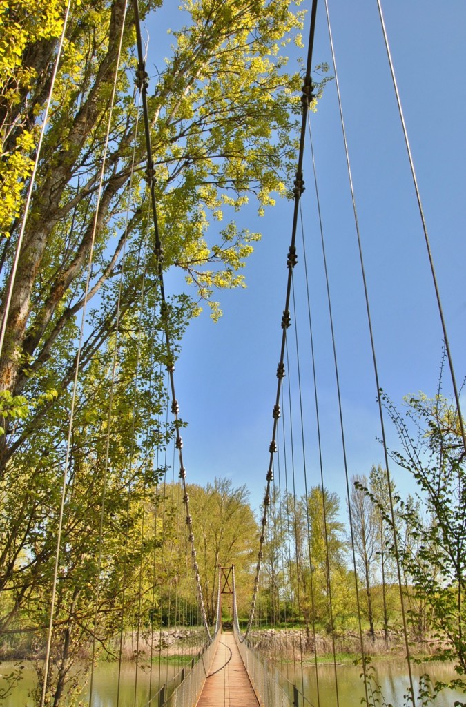 Foto: Canal de Castilla - Herrera de Pisuerga (Palencia), España