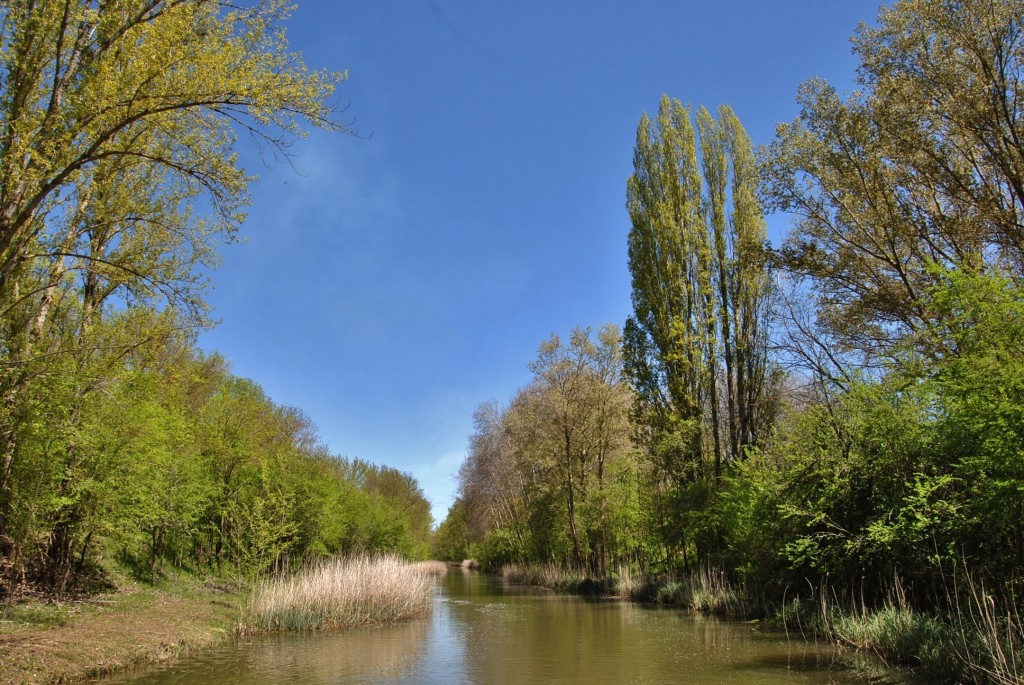 Foto: Canal de Castilla - Herrera de Pisuerga (Palencia), España