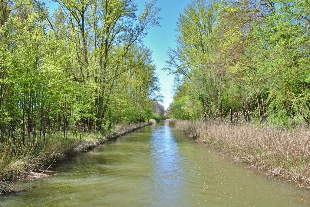 Foto: Canal de Castilla - Herrera de Pisuerga (Palencia), España