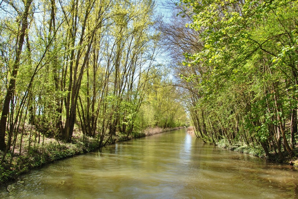 Foto: Canal de Castilla - Herrera de Pisuerga (Palencia), España