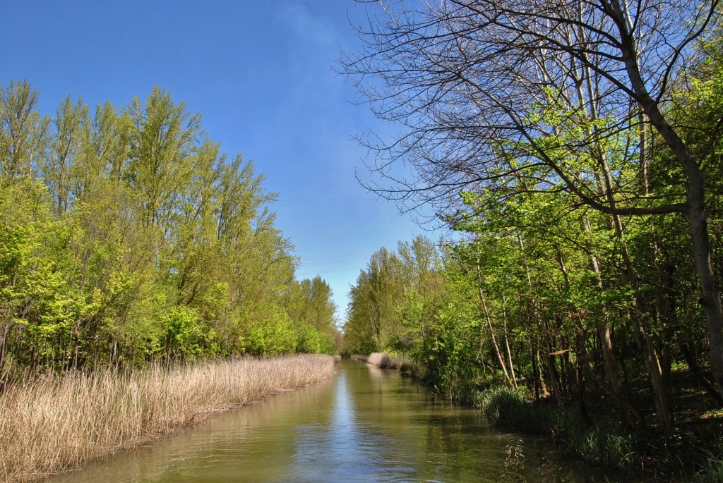 Foto: Canal de Castilla - Herrera de Pisuerga (Palencia), España
