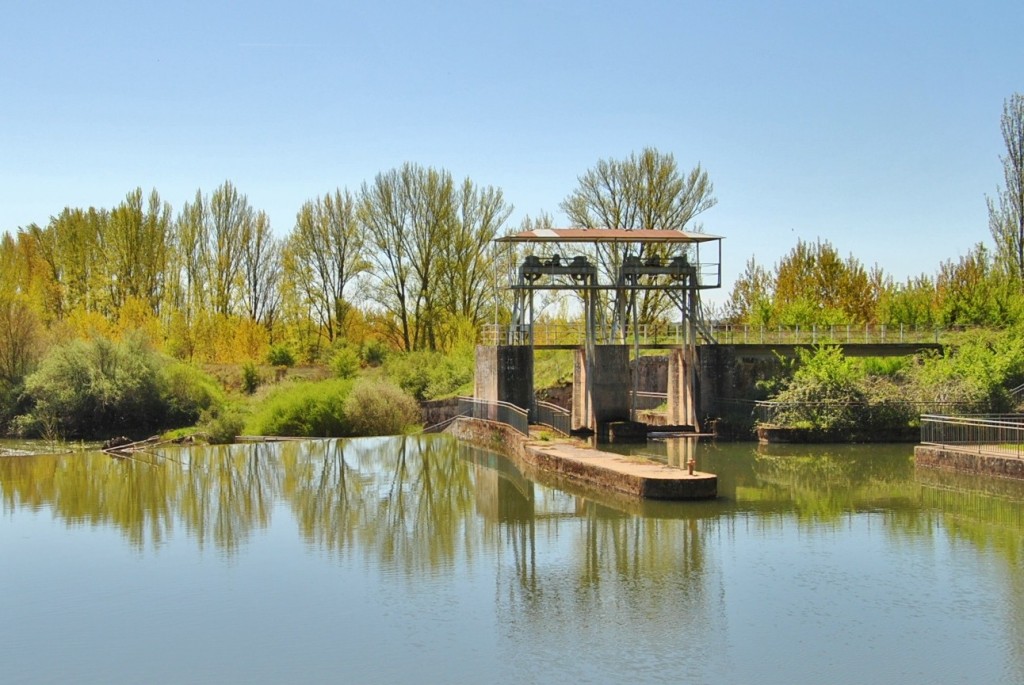 Foto: Canal de Castilla - Herrera de Pisuerga (Palencia), España
