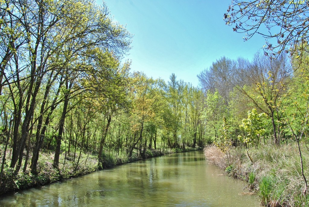 Foto: Canal de Castilla - Herrera de Pisuerga (Palencia), España