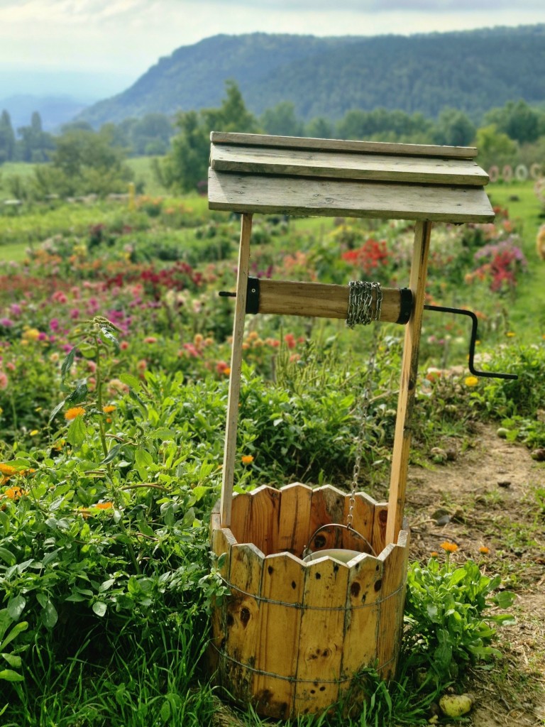Foto: Jardín - Capolat (Barcelona), España