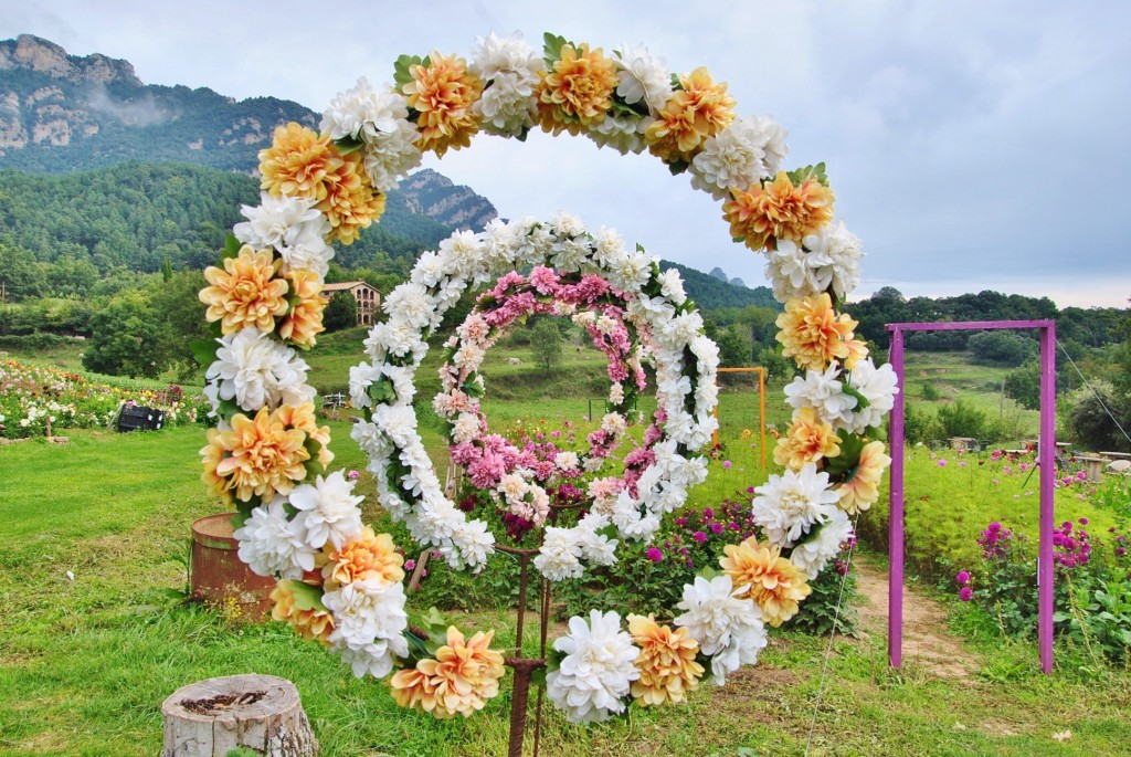 Foto: Granja de flores - Capolat (Barcelona), España
