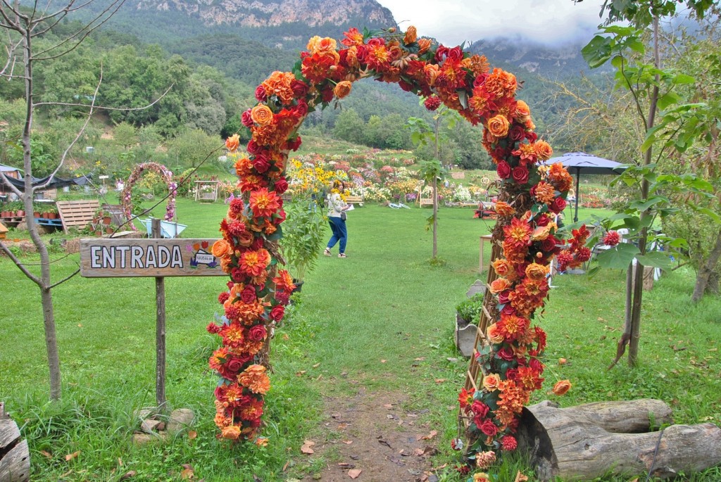 Foto: Granja de flores - Capolat (Barcelona), España