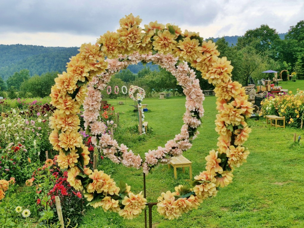 Foto: Dalia - Capolat (Barcelona), España