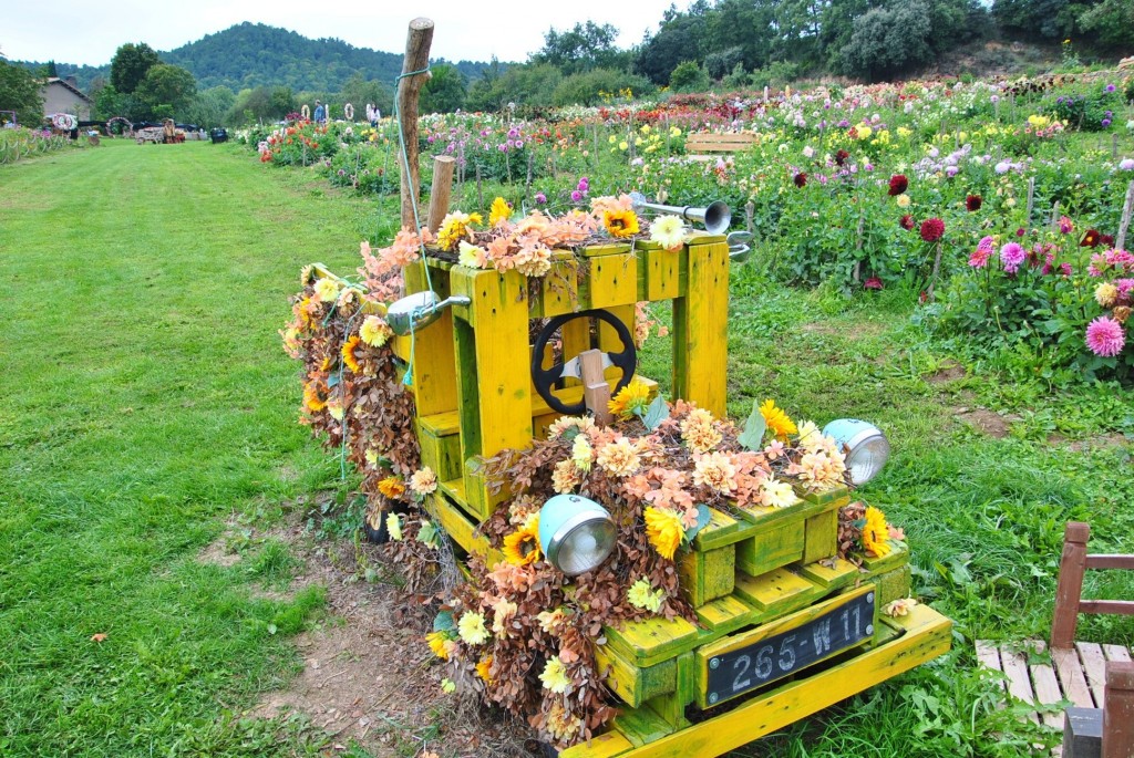 Foto: Granja de flores - Capolat (Barcelona), España