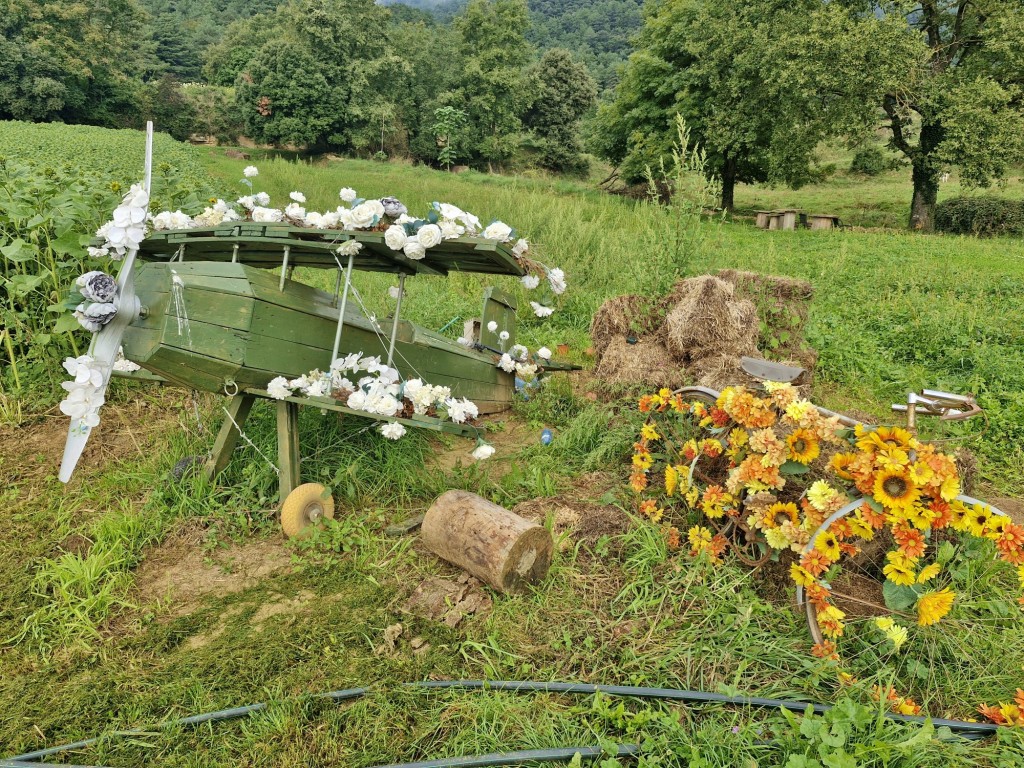 Foto: Granja de flores - Capolat (Barcelona), España