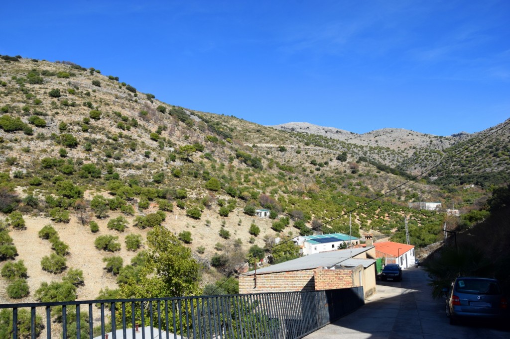 Foto: Erilla de la Colada Real - Alpandeire (Málaga), España