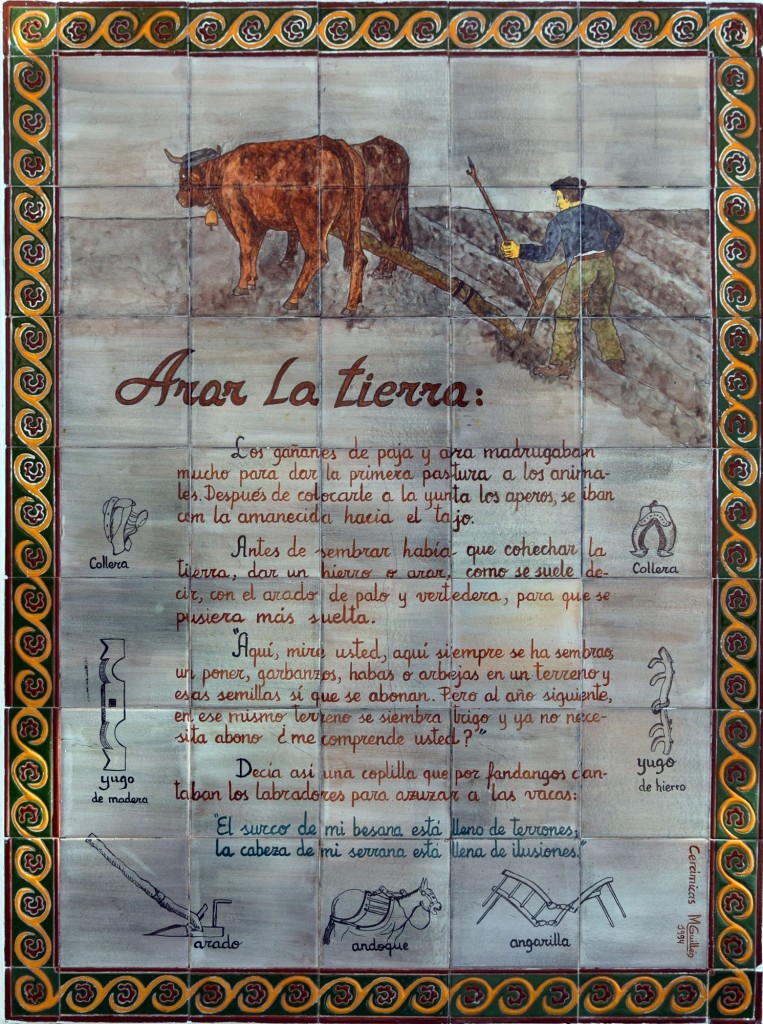 Foto: Amor a la Tierra - Alpandeire (Málaga), España