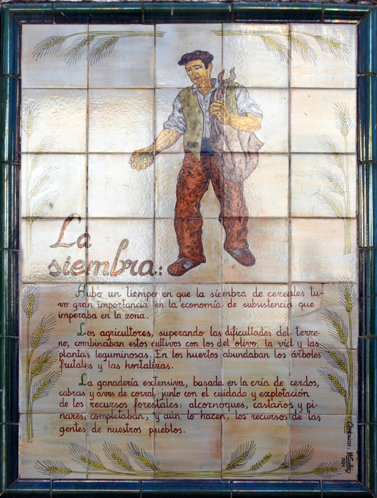 Foto: La siembra - Alpandeire (Málaga), España