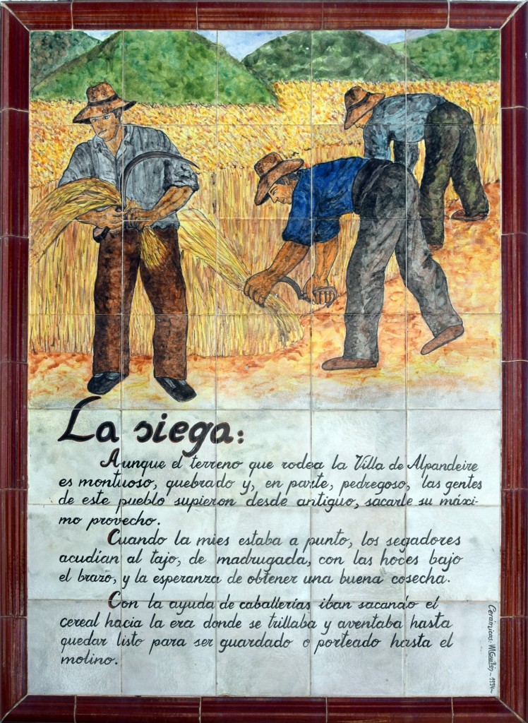 Foto: La siega - Alpandeire (Málaga), España
