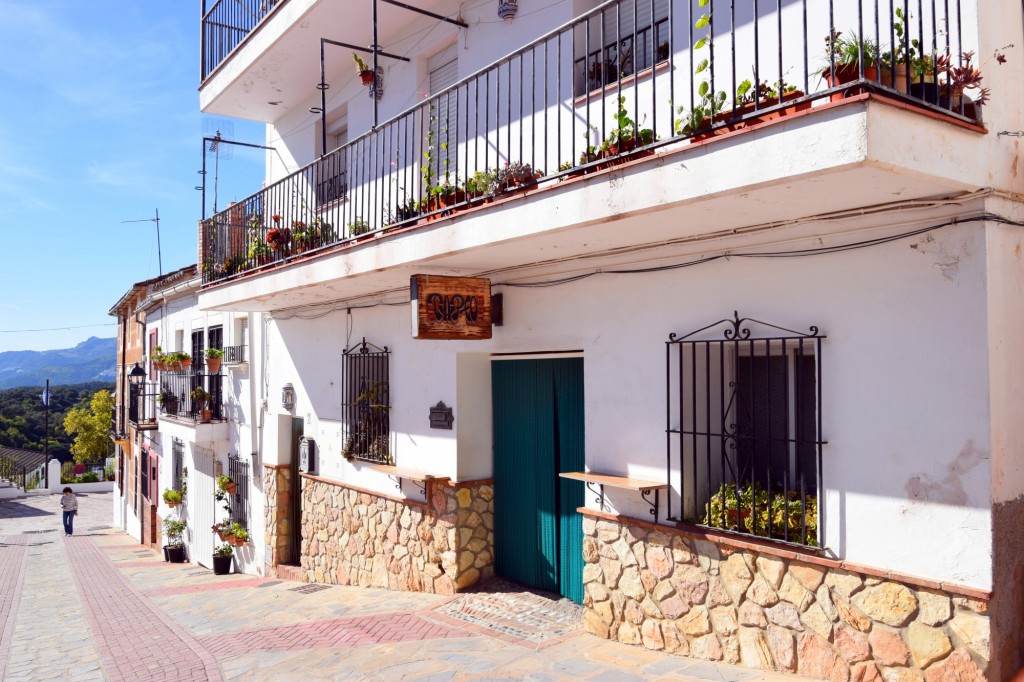 Foto: Bar Tapeo - Alpandeire (Málaga), España