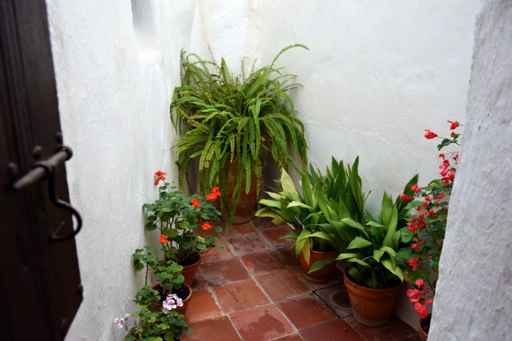 Foto de Alpandeire (Málaga), España