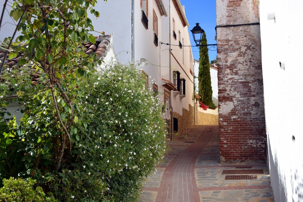 Foto: Calle Pósito - Alpandeire (Málaga), España