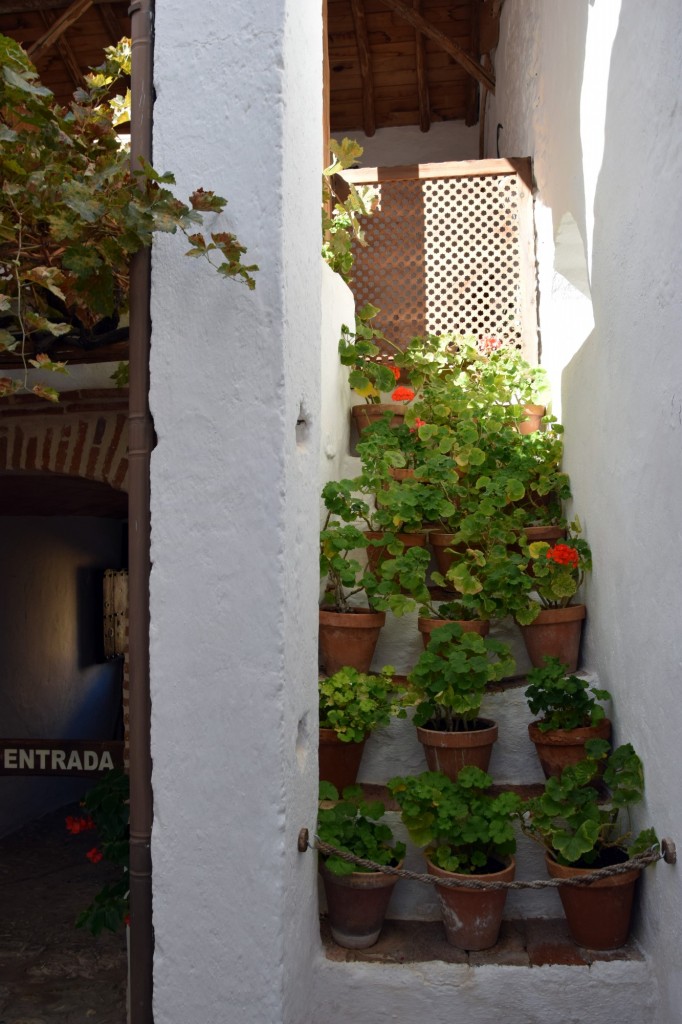 Foto de Alpandeire (Málaga), España