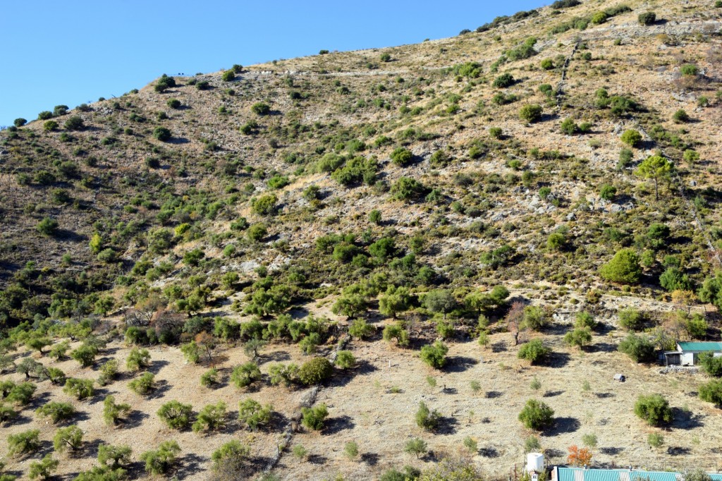 Foto de Alpandeire (Málaga), España