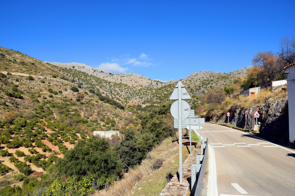 Foto: Carretera MA-7307 - Alpandeire (Málaga), España