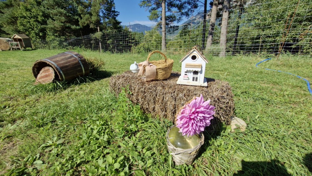 Foto: Dalias - Saldes (Barcelona), España