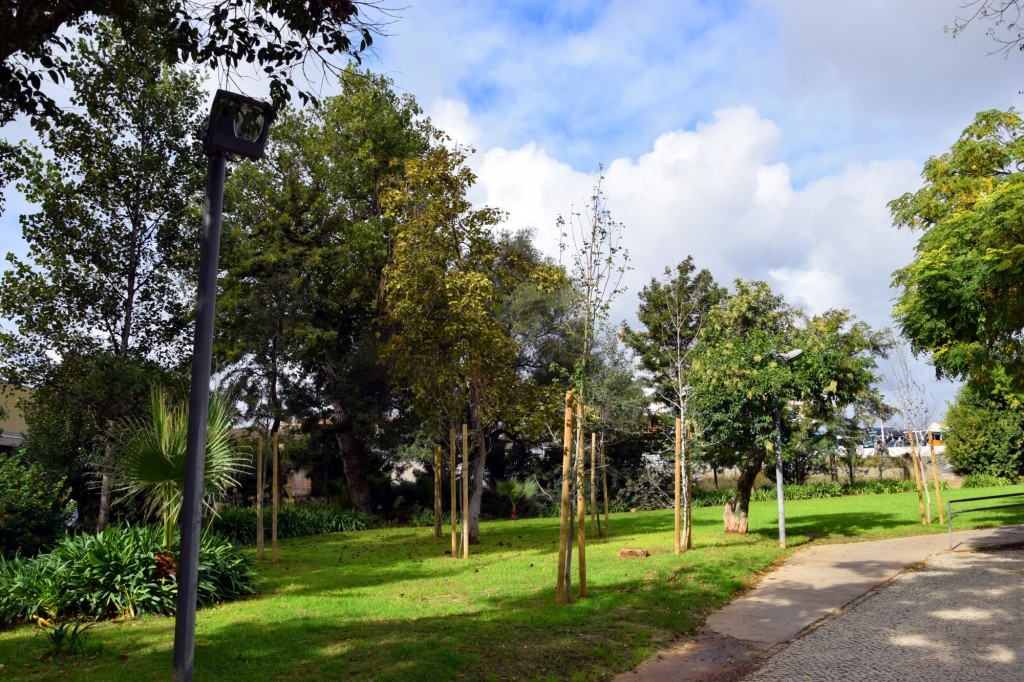 Foto: Parque Municipal - Loulé (Faro), Portugal