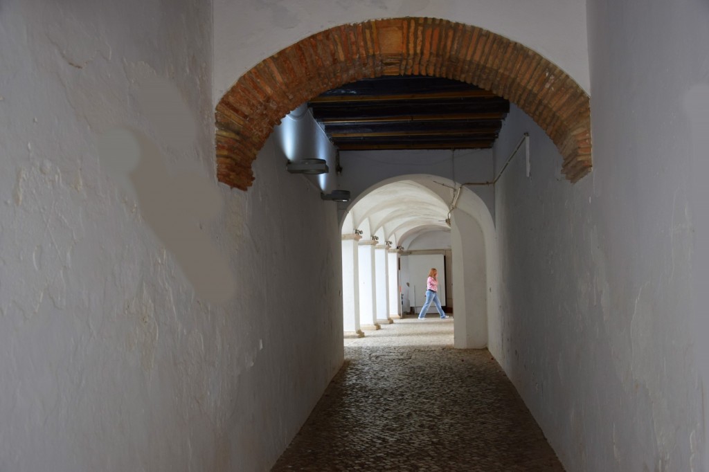 Foto: Rúa do Municiìo - Loulé (Faro), Portugal