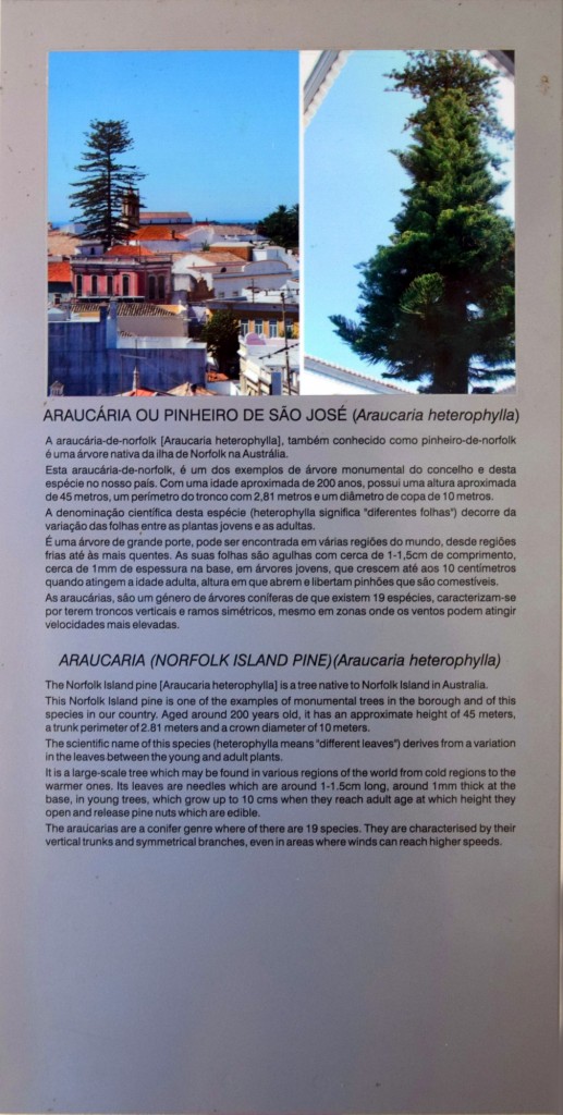 Foto de Loulé (Faro), Portugal