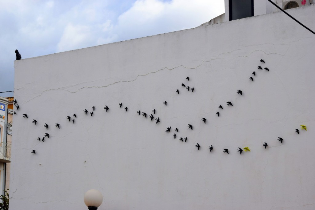 Foto: Bandada de pájaros - Loulé (Faro), Portugal