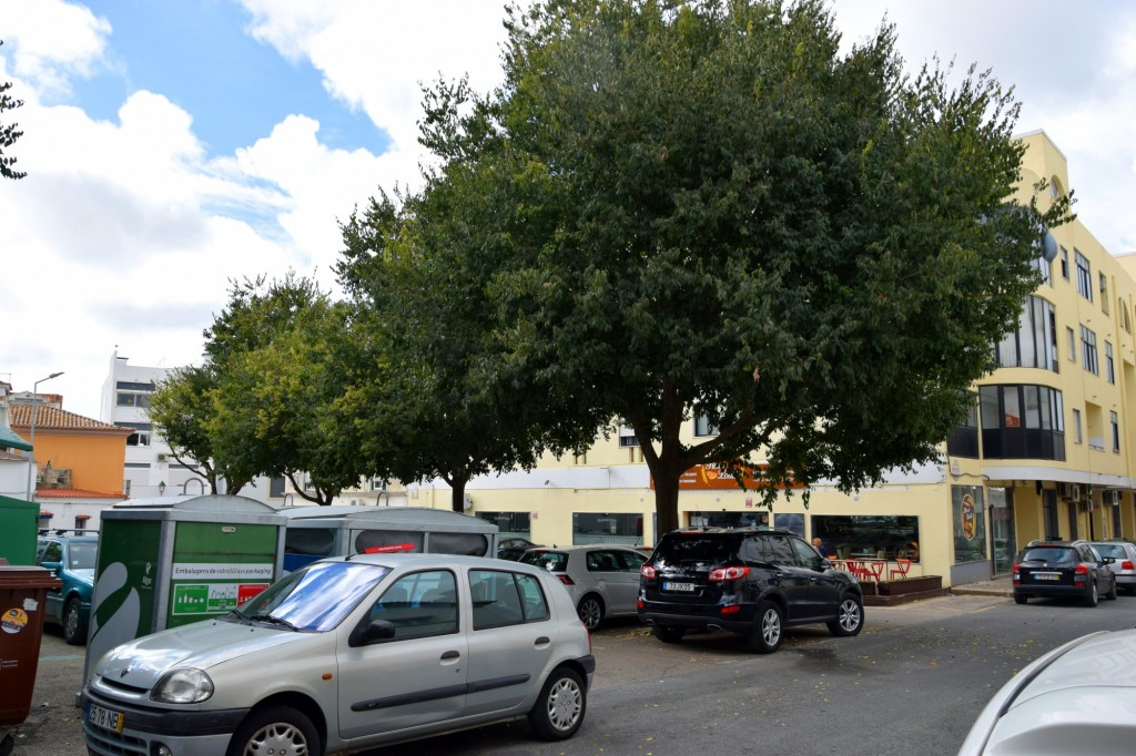 Foto: Praça Munel Correia-Médico - Loulé (Faro), Portugal