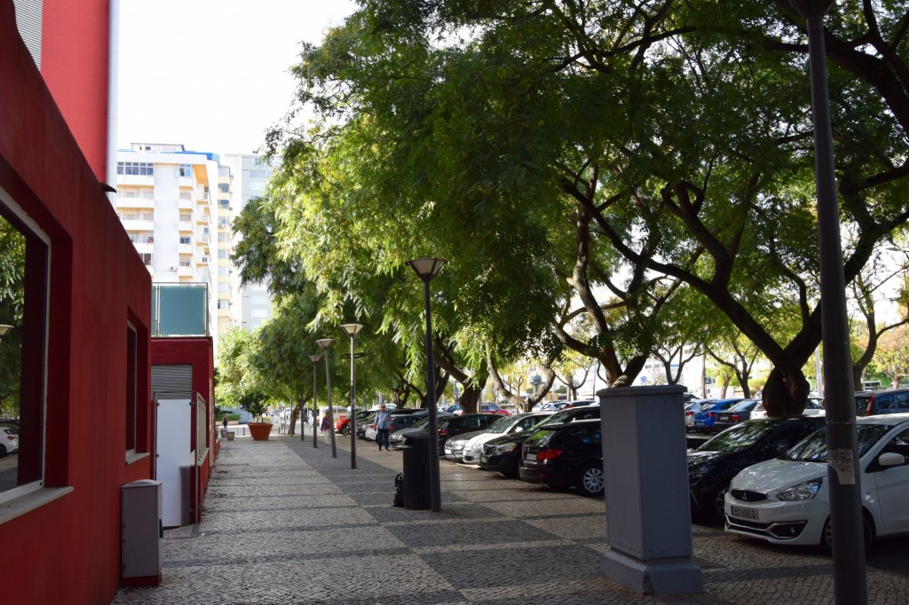Foto: Avenida Francisco Sá Carneiro - Quarteira (Faro), Portugal