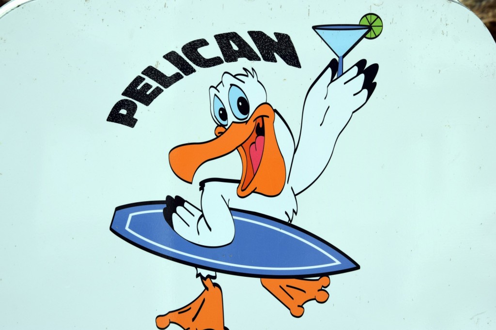 Foto: Pelican - Quarteira (Faro), Portugal