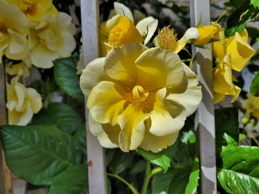 Foto: Centro histórico - Horta de Sant Joan (Tarragona), España
