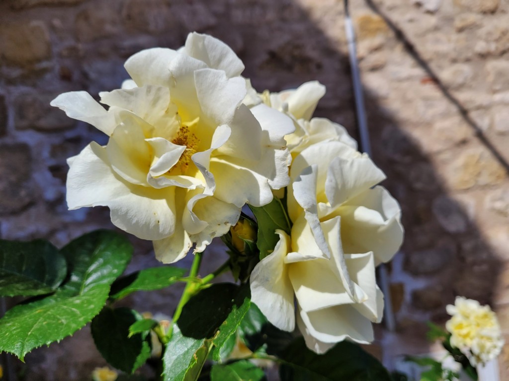 Foto: Centro histórico - Horta de Sant Joan (Tarragona), España