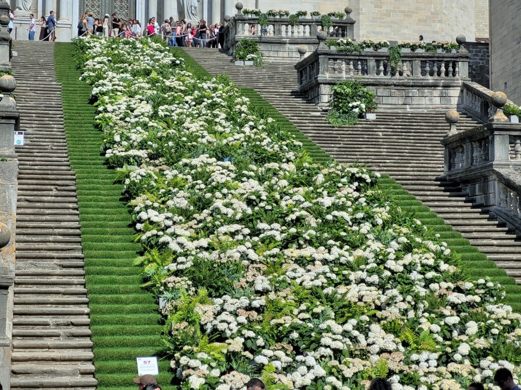 Foto: Girona temps de flors - Girona (Cataluña), España