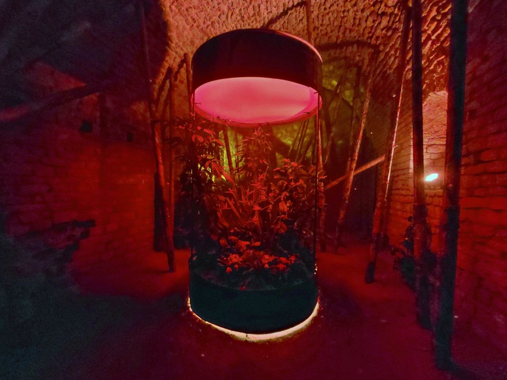 Foto: Girona temps de flors - Girona (Cataluña), España