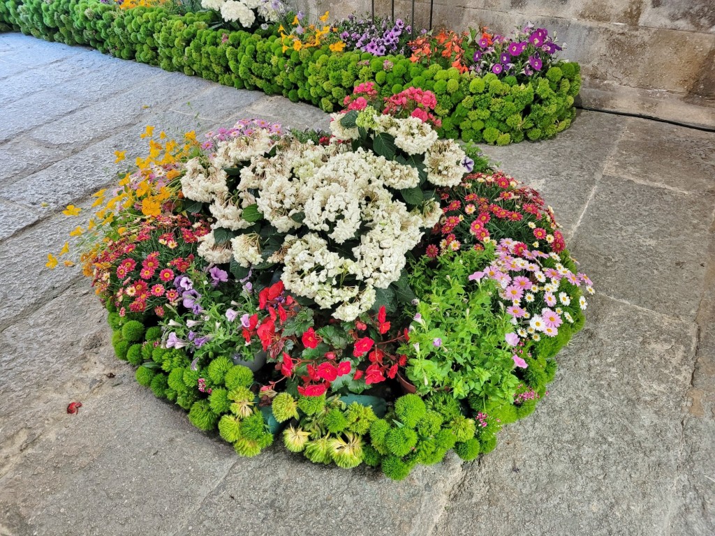 Foto: Girona temps de flors - Girona (Cataluña), España