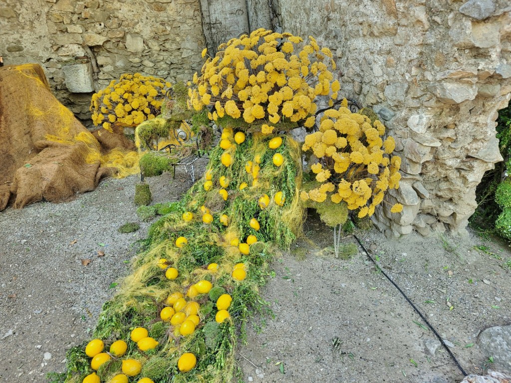 Foto: Girona temps de flors - Girona (Cataluña), España