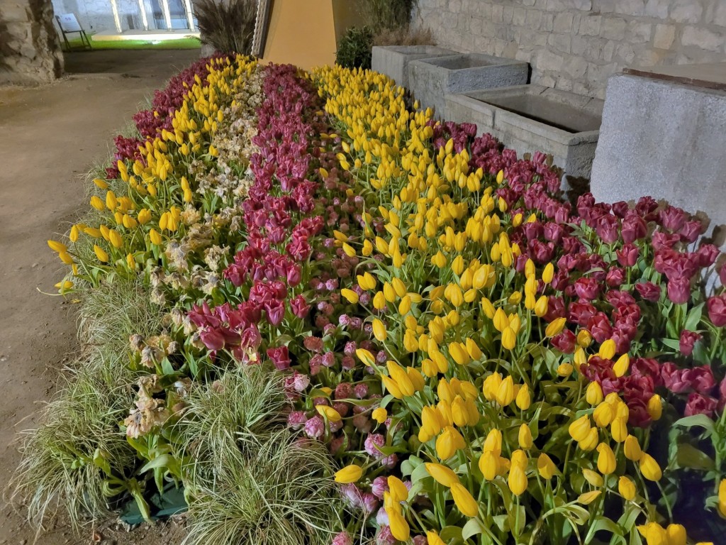 Foto: Girona temps de flors - Girona (Cataluña), España