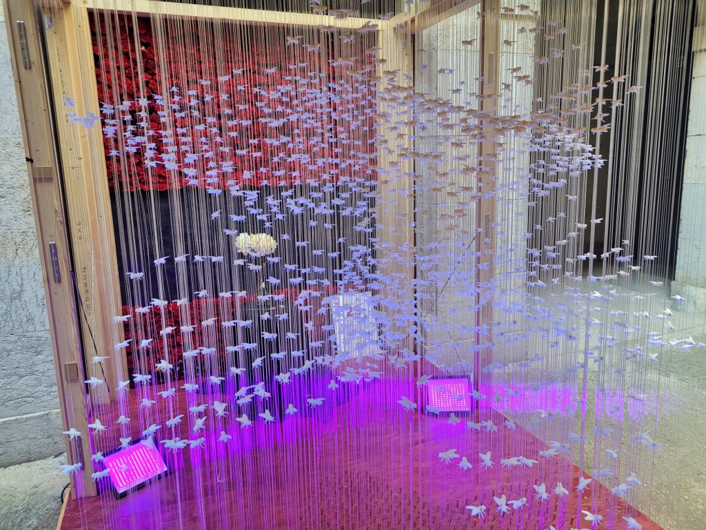 Foto: Girona temps de flors - Girona (Cataluña), España