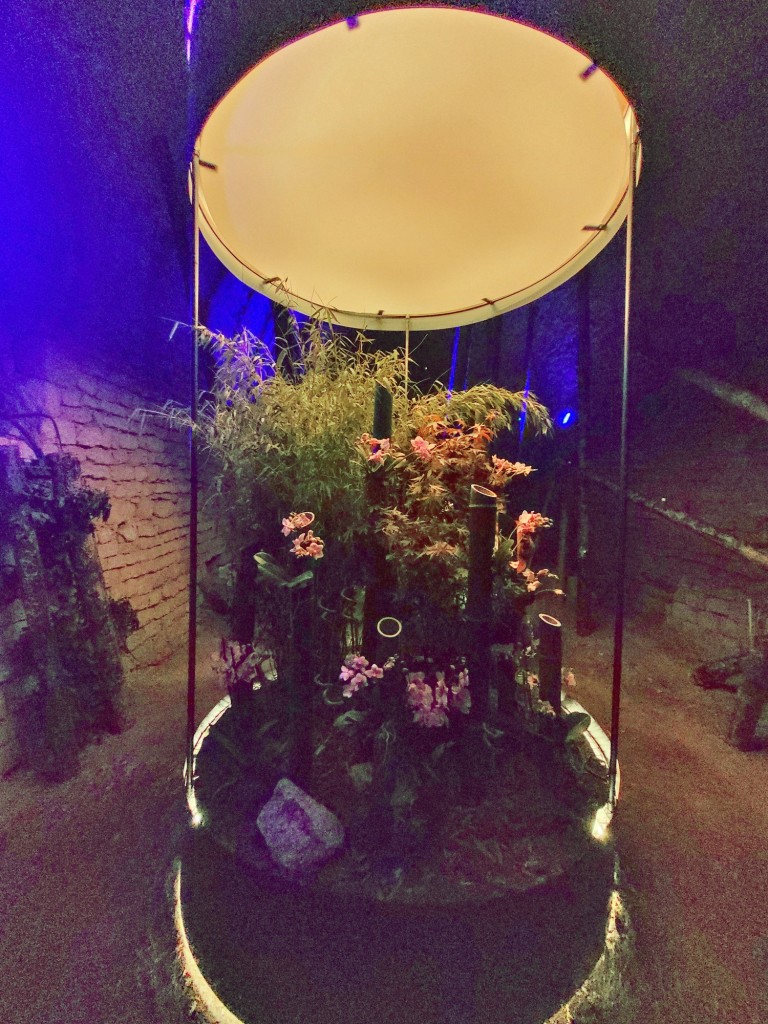 Foto: Girona temps de flors - Girona (Cataluña), España