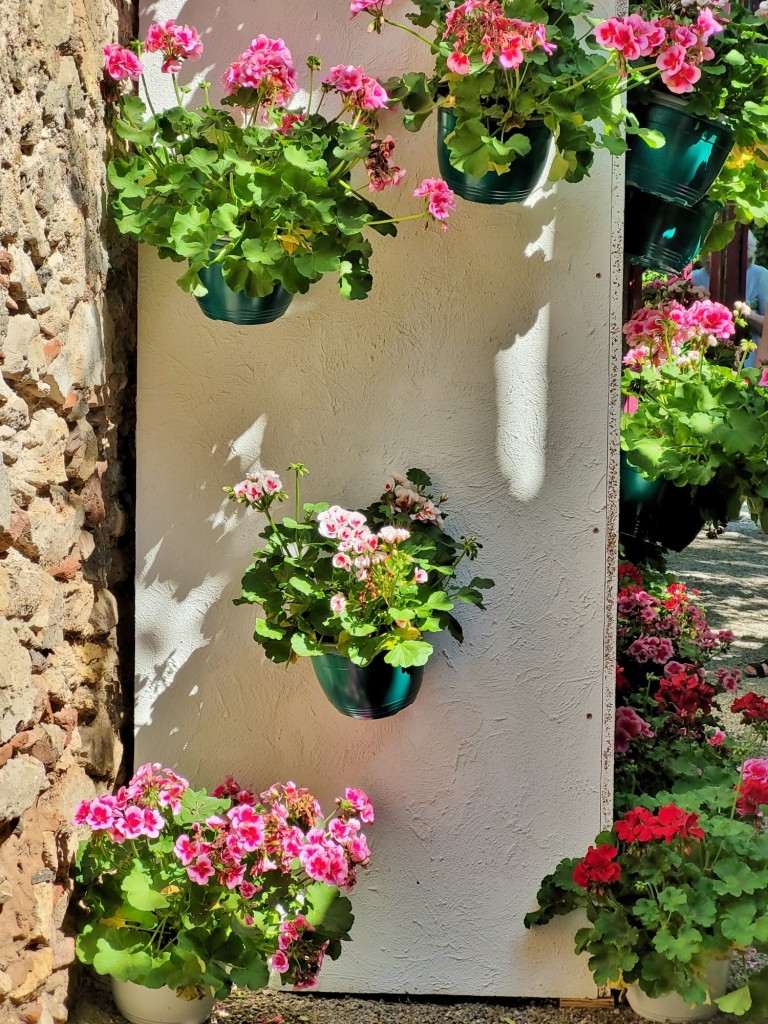 Foto: Girona temps de flors - Girona (Cataluña), España