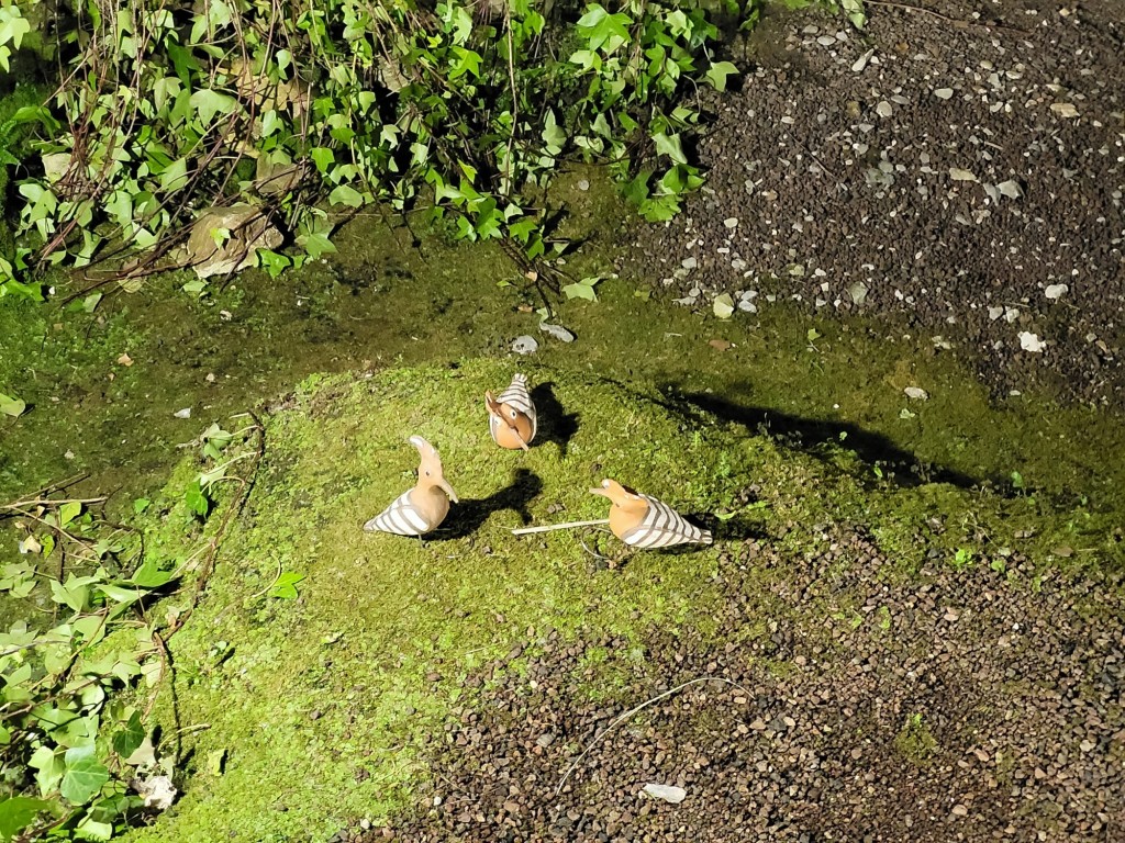 Foto: Girona temps de flors - Girona (Cataluña), España