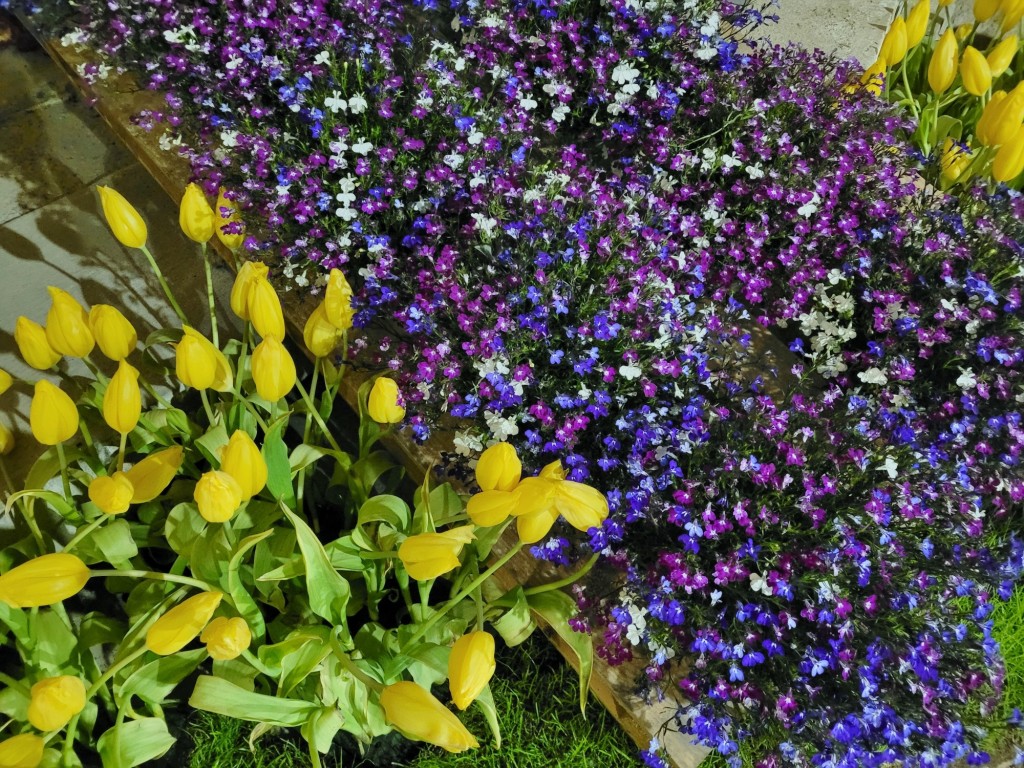 Foto: Girona temps de flors - Girona (Cataluña), España