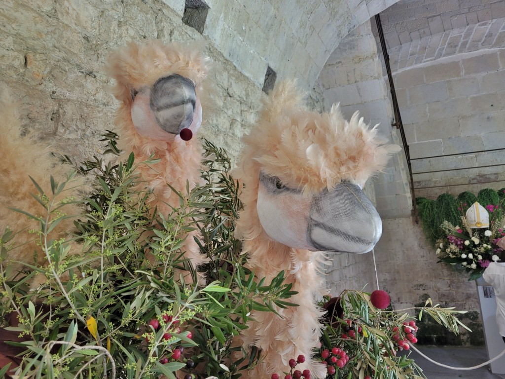 Foto: Girona temps de flors - Girona (Cataluña), España